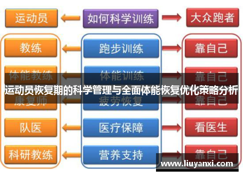 运动员恢复期的科学管理与全面体能恢复优化策略分析