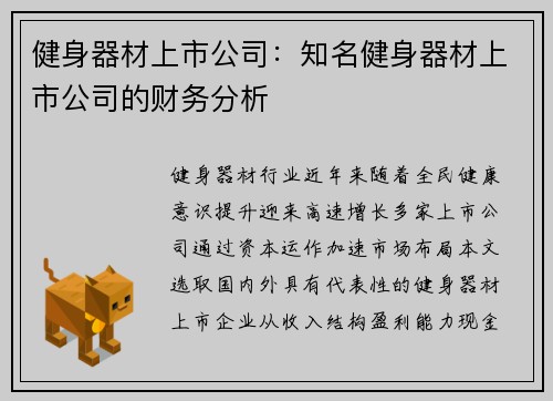 健身器材上市公司：知名健身器材上市公司的财务分析